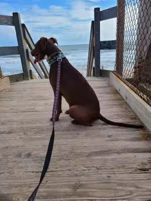 North Beach Park - St. Augustine, FL
