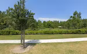 Shearwater Dog Park - St. Augustine, FL