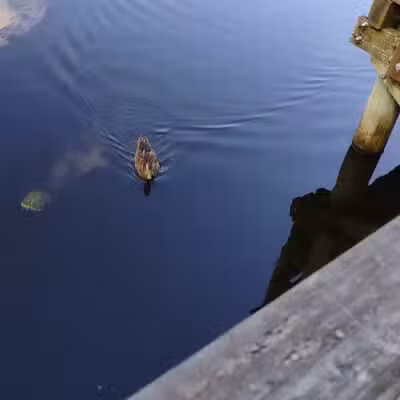 Treaty Park - St. Augustine, FL