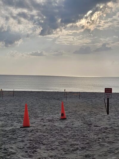 Vilano Drive on Beach - St. Augustine, FL