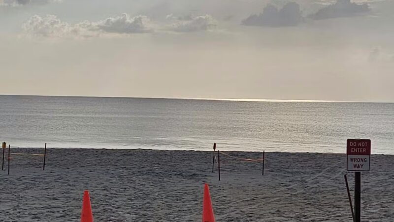 Vilano Drive on Beach - St. Augustine, FL