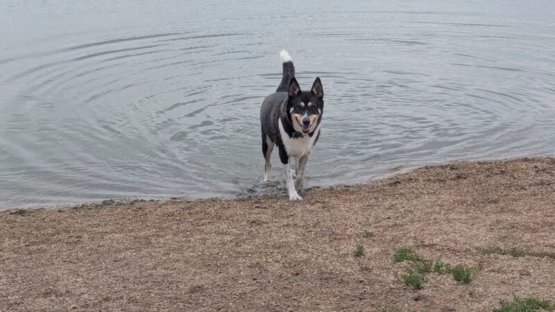 East Side Sports Complex Dog Park - St. Charles, IL