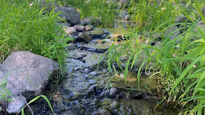 Lumberjack Park - St Charles,