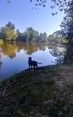 Lumberjack Park - St Charles,