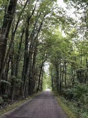 Saginaw Valley Rail Trail St Charles Trailhead - St Charles,