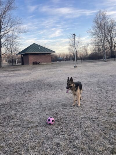 DuSable Dog Park - St Charles, MO