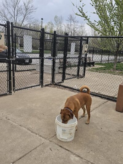 DuSable Dog Park - St Charles, MO