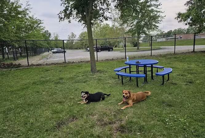 DuSable Dog Park - St Charles, MO