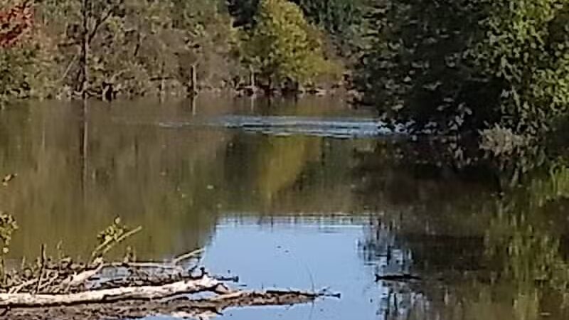 Saginaw Valley Rail Trail St Charles Trailhead - St Charles,