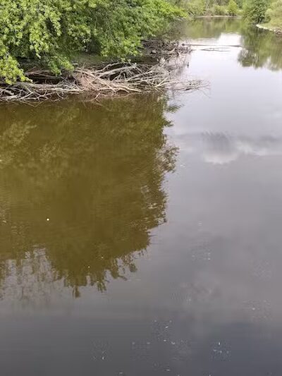 Saginaw Valley Rail Trail St Charles Trailhead - St Charles,