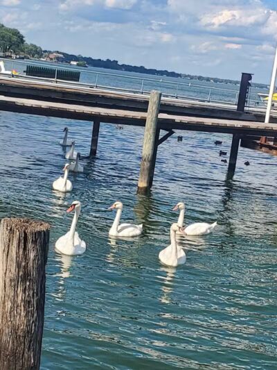 Alexander Park - St Clair Shores,