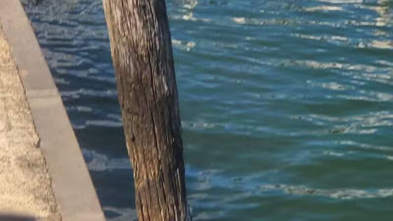 Alexander Park - St Clair Shores,