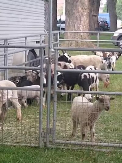 Blossom Heath Park - St Clair Shores,