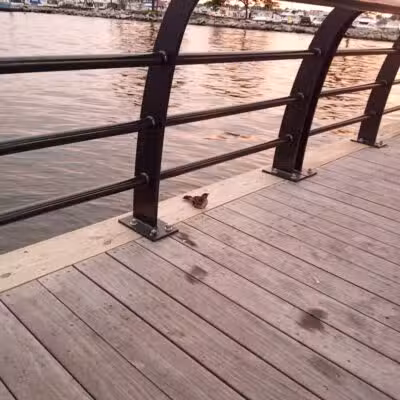 Blossom Heath Pier - St Clair Shores,