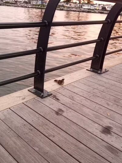 Blossom Heath Pier - St Clair Shores,