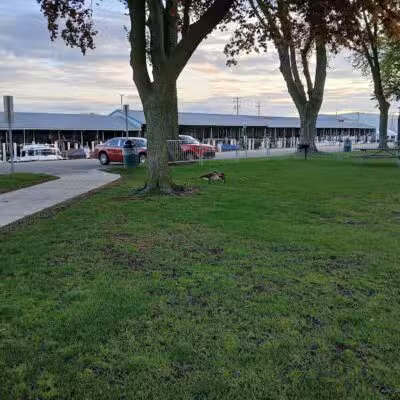 Blossom Heath Pier - St Clair Shores,