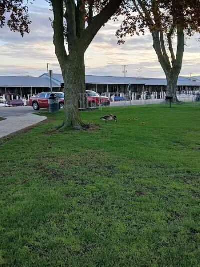 Blossom Heath Pier - St Clair Shores,