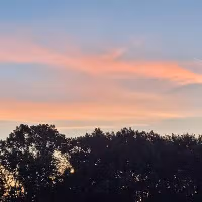 Brys Park - St Clair Shores,