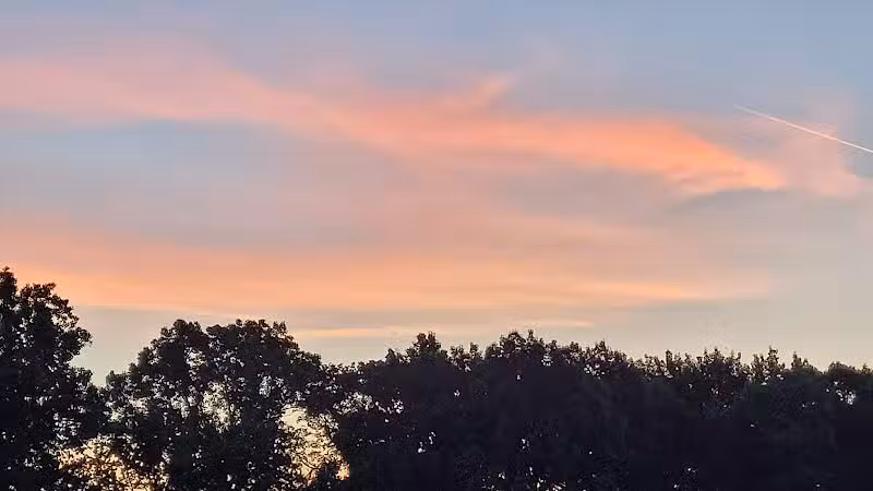 Brys Park - St Clair Shores,