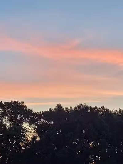 Brys Park - St Clair Shores,