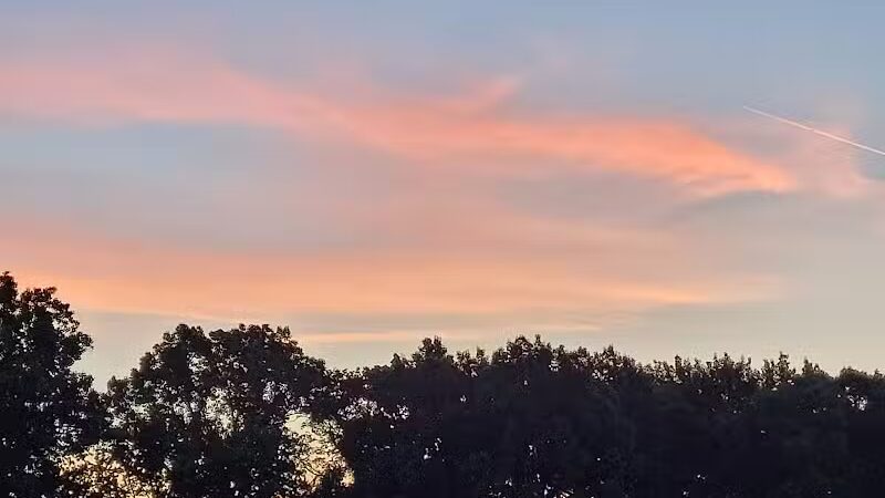 Brys Park - St Clair Shores,