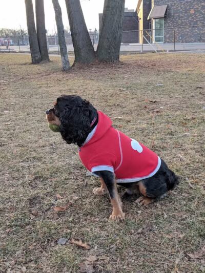 Brys Park - St Clair Shores,