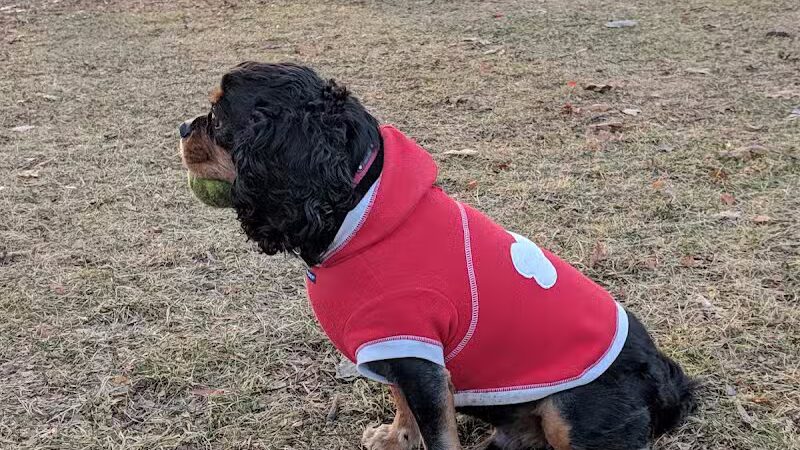 Brys Park - St Clair Shores,