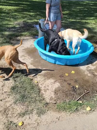 Brys Park - St Clair Shores,