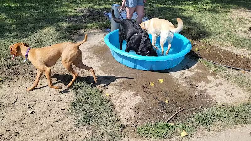 Brys Park - St Clair Shores,