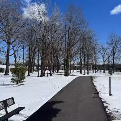 Brys Park - St Clair Shores,