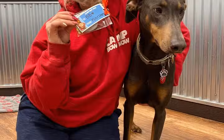 Camp Bow Wow Lil' Campers St. Clair Shores - St Clair Shores,