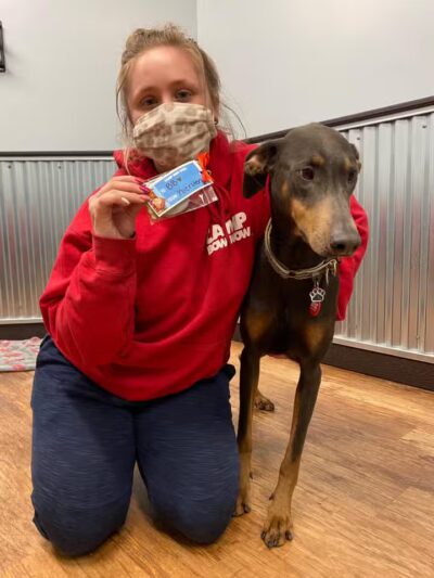 Camp Bow Wow Lil' Campers St. Clair Shores - St Clair Shores,