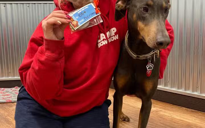 Camp Bow Wow Lil' Campers St. Clair Shores - St Clair Shores,