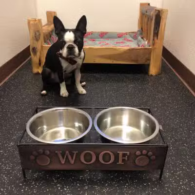 Camp Bow Wow Lil' Campers St. Clair Shores - St Clair Shores,