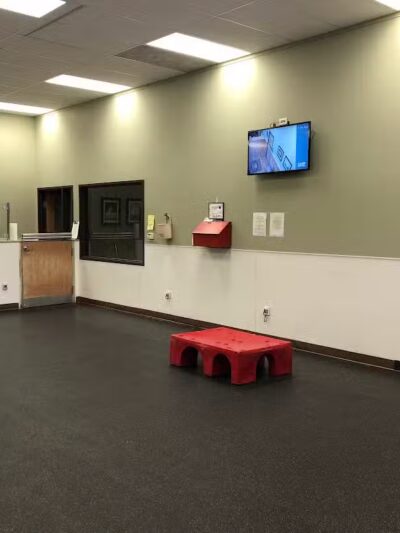 Camp Bow Wow Lil' Campers St. Clair Shores - St Clair Shores,