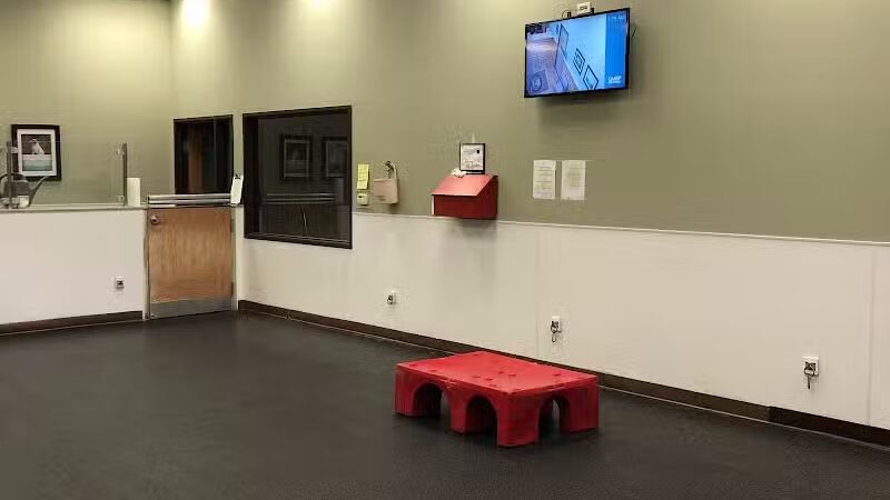 Camp Bow Wow Lil' Campers St. Clair Shores - St Clair Shores,