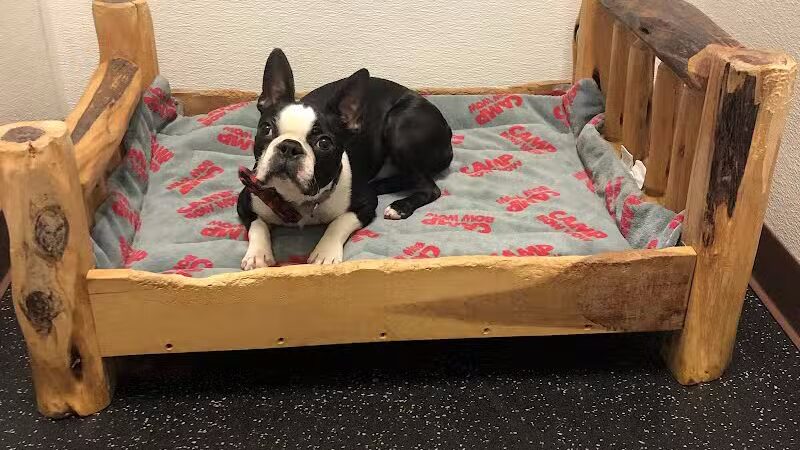 Camp Bow Wow Lil' Campers St. Clair Shores - St Clair Shores,