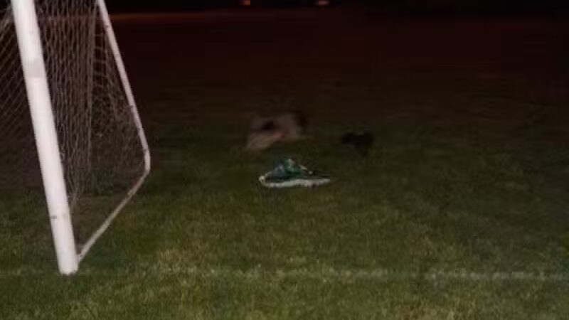 Gaffke Park - St Clair Shores,