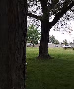 Frederick Park - St Clair Shores,