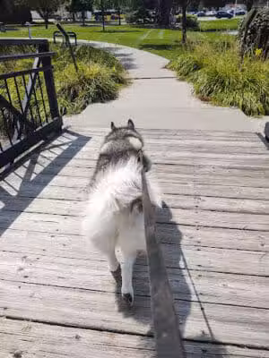 Wahby Park - St Clair Shores,