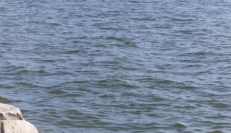 Veterans Memorial Park - St Clair Shores,