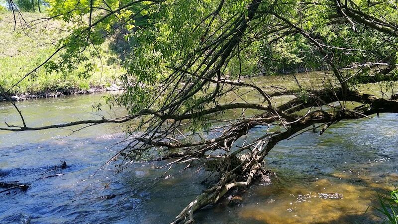 Friends of Whitney Dog Park - St Cloud, MN