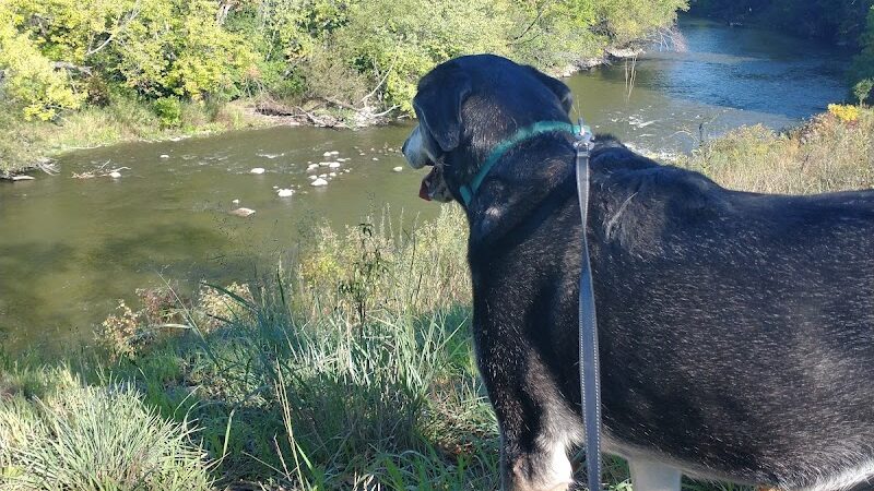 Friends of Whitney Dog Park - St Cloud, MN