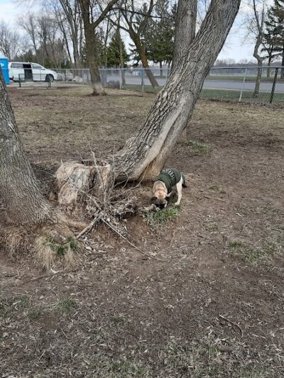 Friends of Whitney Dog Park - St Cloud, MN
