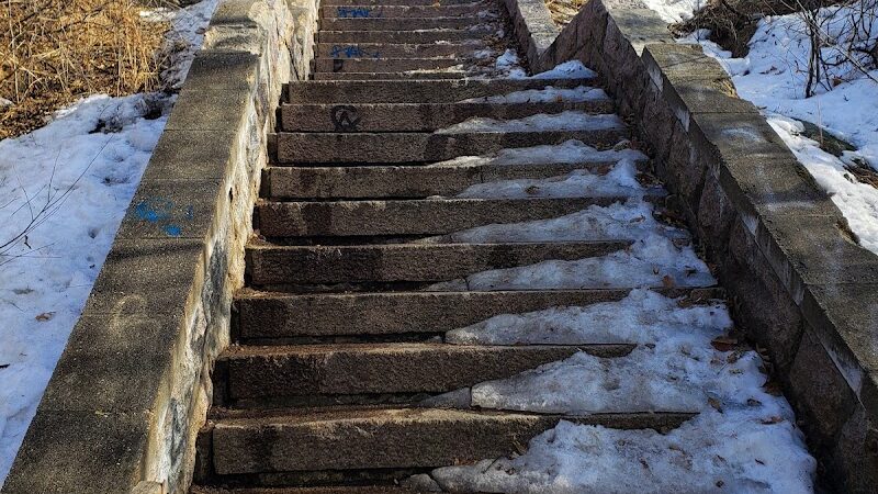 Friends of Whitney Dog Park - St Cloud, MN