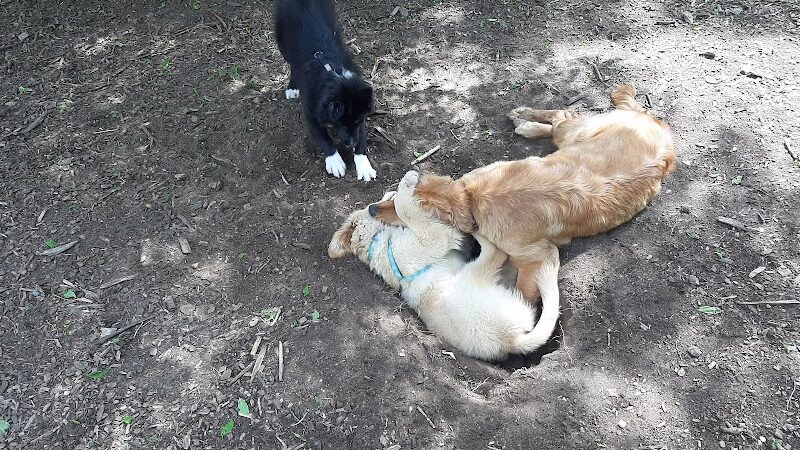 Friends of Whitney Dog Park - St Cloud, MN