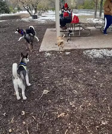 Friends of Whitney Dog Park - St Cloud, MN