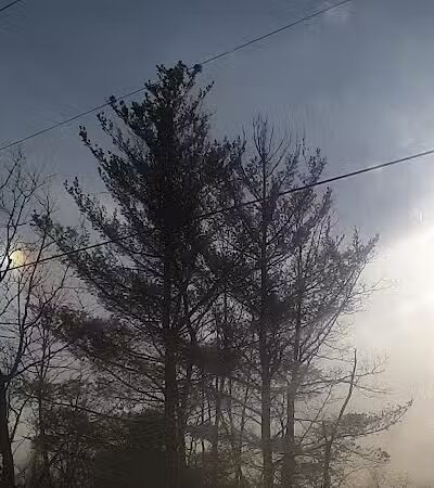 St. Helen Veteran's Memorial Park - St Helen,