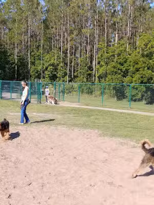 Veterans Park Dog Park - St Johns, FL