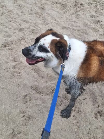 Motz Park - St Johns,